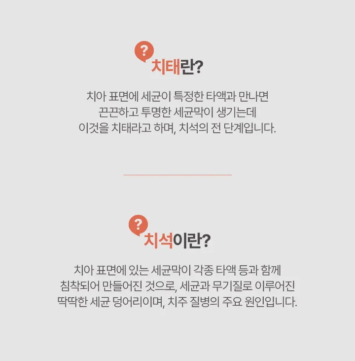 치태란? | 치석이란?