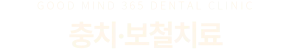 충치·보철치료