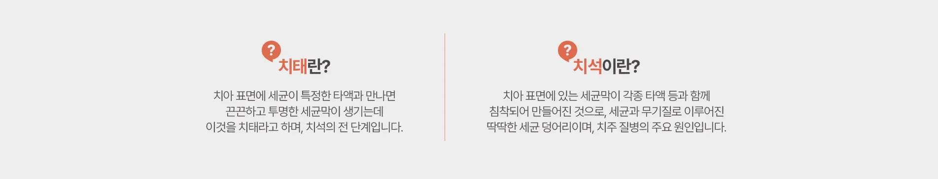 치태란? | 치석이란?