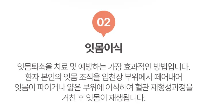 02.잇몸이식