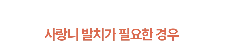 사랑니 발치가 필요한 경우